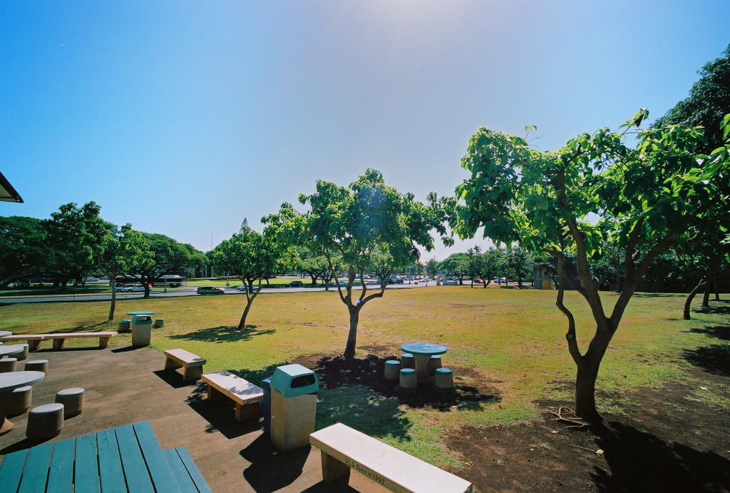 Outdoor seating area facing University Avenue at ULS/Kava Festival site for 2015