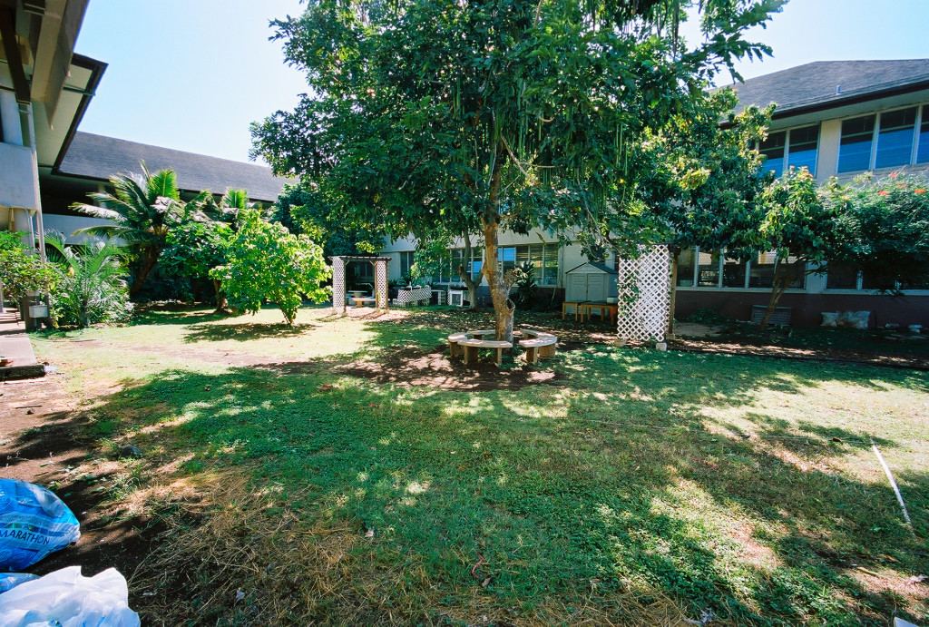 Courtyard next to ULS/Kava Festival site for 2015